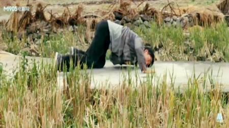 [文]《钢琴木马》解说文案闽南文化的张扬-----小议《钢琴木马》