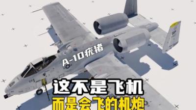 [视]它是会飞的机炮，被称为舔地狂魔、坦克开罐器A-10疣猪攻击机