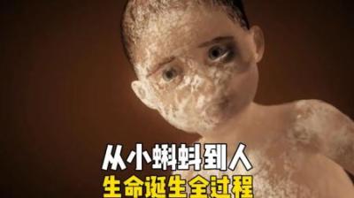 [视]从小蝌蚪到人，生命诞生的神奇过程 #涨知识 #宝宝 #视觉冲击