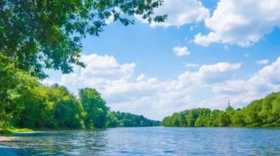 第566集 碗里有毒 3[附音频]