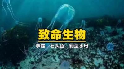 [视]有空吗？不妨一起来了解下澳大利亚独有的致命生物。#动物解说