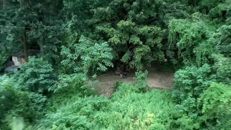 [文]《终极标靶2》为生存而战！2016年9月美国上映：《终极标靶2》由