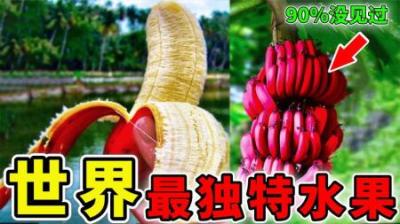 [视]世界上最独特的10种水果，很多人都没见过，吃过5个以上妥妥土豪