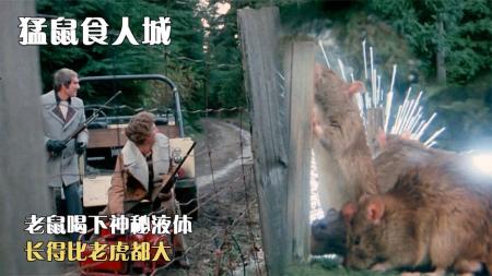 [视]老鼠吃下神秘液体，竟变得比狼还大，五分钟看《猛鼠食人城》