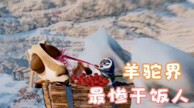 [视]羊驼界最惨干饭人，凭借善良的本心，获得浆果和友情