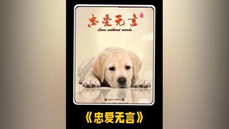 [文]《老狗的故事》暖心短片《老狗的故事》治愈暖心民间故事