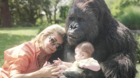 [文]《超新约全书》解说文案男人可以怀孕，人跟猩猩谈恋爱......给这电影脑洞跪了！