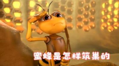[视]蜂蜜是这样筑巢的，在手心拍上蜜粉，把蜂蜜做成六边形