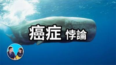 [视]鲸鱼为什么不得癌症？#癌症#科普#鲸鱼#动物科普