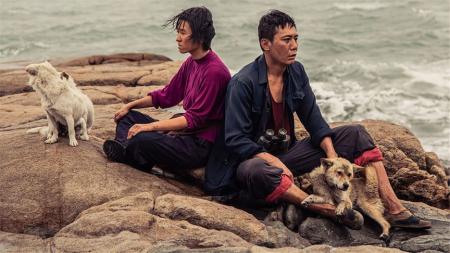 [文]剧情《守岛人》电影解说文案