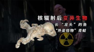 [视]长“龙头”的鱼,像“外星怪物”的青蛙,核辐射后的变异生物