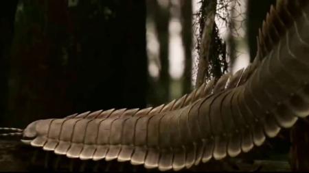 [文]比霸王龙还要恐怖的十大怪兽 怪兽科普解说文案 看世界文案