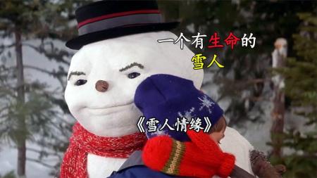 [文]家庭《雪人情缘》电影解说文案