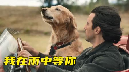 [文]喜剧电影《我在雨中等你》解说文案片源素材