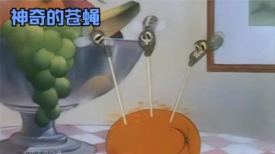 [视]你绝对没见过这么离谱的苍蝇，上天入地无所不能#童年经典动画片