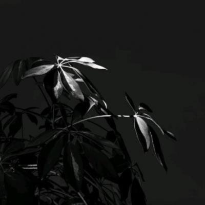 【励志】励志英文资料句子（励志英语句子中文版）