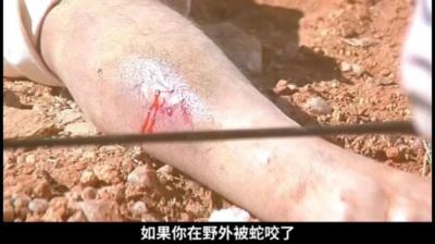 我是谁[附音频]