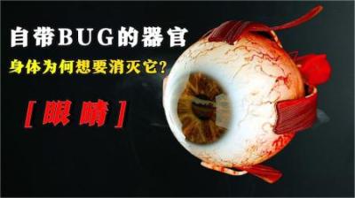 [视]人体自带buff和bag的器官-眼睛，为何身体要消灭它？