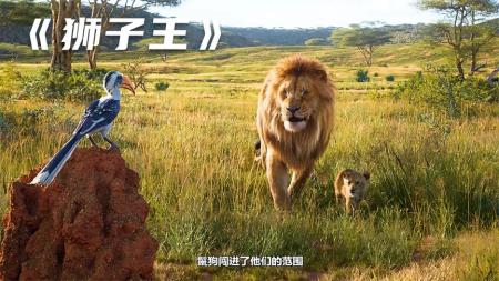 [视]辛巴的成长之路，8分钟解说童年记忆《狮子王》，经典老片改编