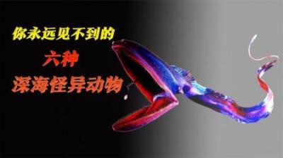 [视]长相丑陋，软饭硬吃，你永远见不到的六种怪异深海动物