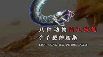 [视]世界上8种动物的自卫技能，即恶心又危险！你见过几种？