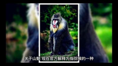 山魈传说[附音频]