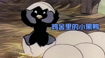 [视]不俱艰辛的小黑鸭，在坚持不懈的努力下，成为公鸡家里的一份子