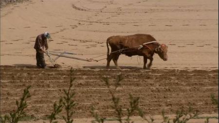 [文]纪录片《牛铃之声》电影解说文案解说素材
