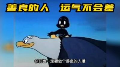[视]小黑鸭无意间捡到一颗蛋，将其孵化后竟是一只秃鹰