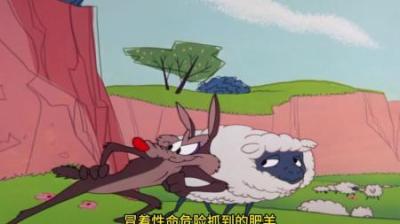 [视]原来老狼抓不到肥羊的主要原因竟是牧羊犬和他的老表搞的鬼