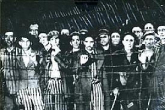 惊悚《幸存者》电影解说文案（惊悚《幸存者》电影解说文案怎么写）