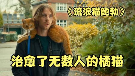 [文]喜剧《流浪猫鲍勃2鲍勃的礼物》电影解说文案(一只叫鲍勃的流浪猫电影)