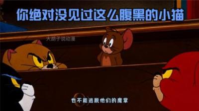 [视]你绝对没见过这么腹黑的小猫，因同时得罪两位大佬屁股被打开花