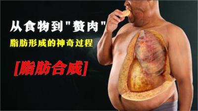 [视]从食物到赘肉：脂肪形成的神奇过程，看完瞬间没食欲！