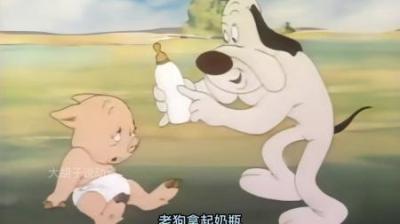 [视]一个以睡觉而闻名的村庄，却被迁徙而来的乌鸦所打扰