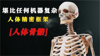 [视]堪比任何机器的复杂结构—人体骨骼