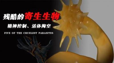 [视]精神控制、活体掏空，五种残酷的寄生生物