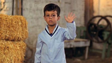 [文]家庭电影《我的父亲，我的儿子》解说文案 解说素材