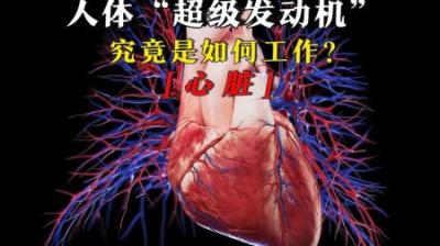 [视]人体永不能熄火的“超级发动机”-心脏，究竟如何工作？