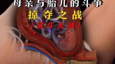 [视]母亲与胎儿的斗争—宫斗大战，究竟隐藏着什么秘密？