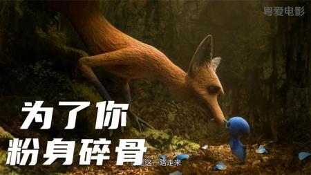 [文]经典温馨动画《狐狸***鸟宝宝》抱养的孩子是自己唯一的宝宝