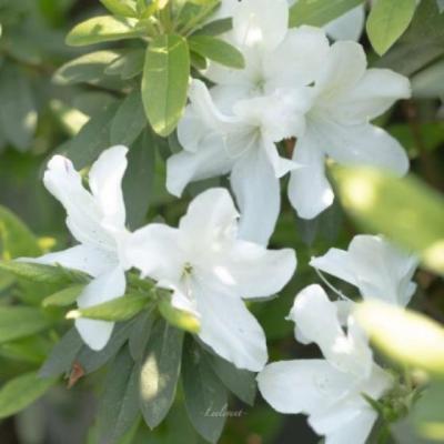 【正能量】精辟到极致的经典句子坚持到底（激励自己坚持下去的经典句子）