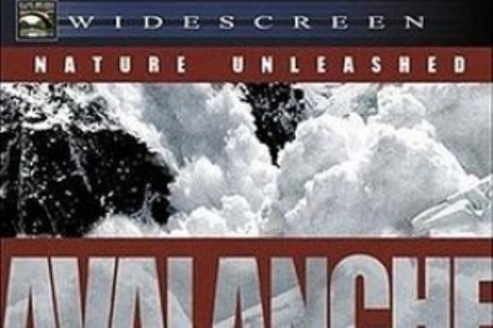 剧情《零下风》电影解说文案（剧情《零下风》电影解说文案怎么写）