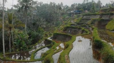 第1183集 乡村医院惊魂夜 下[附音频]