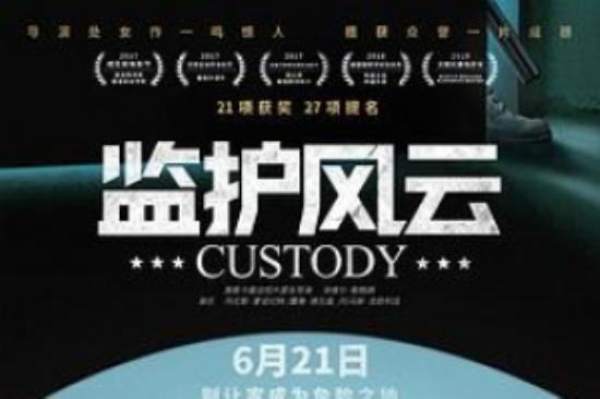 剧情《监护风云》电影解说文案（监护风云电影解析）