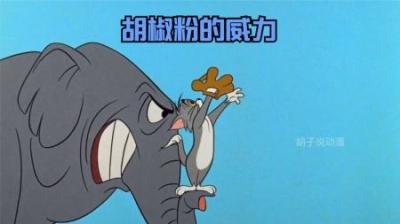 [视]你知道被胡椒粉呛到是什么感觉吗？