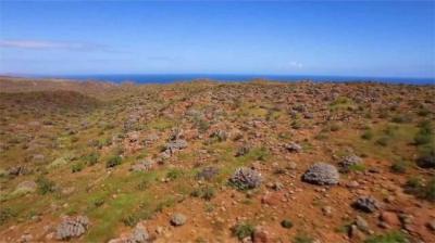 婴儿酒 下[附音频]