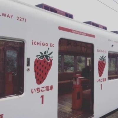 【哲理】买房子的哲理及感悟（买房子的感言和感悟）