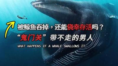 [视]“鬼门关”带不走的男人，被鲸鱼吞掉，还能侥幸存活？#鲸鱼