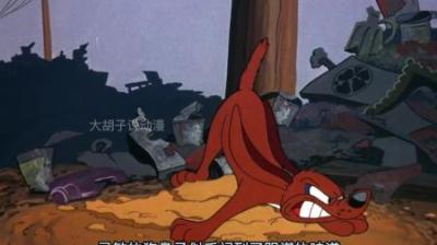 [视]从没见过这么会撩妹的老猫，可他在厉害却始终逃脱不了天敌的压制